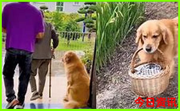 湖南洛阳有什么名胜景点